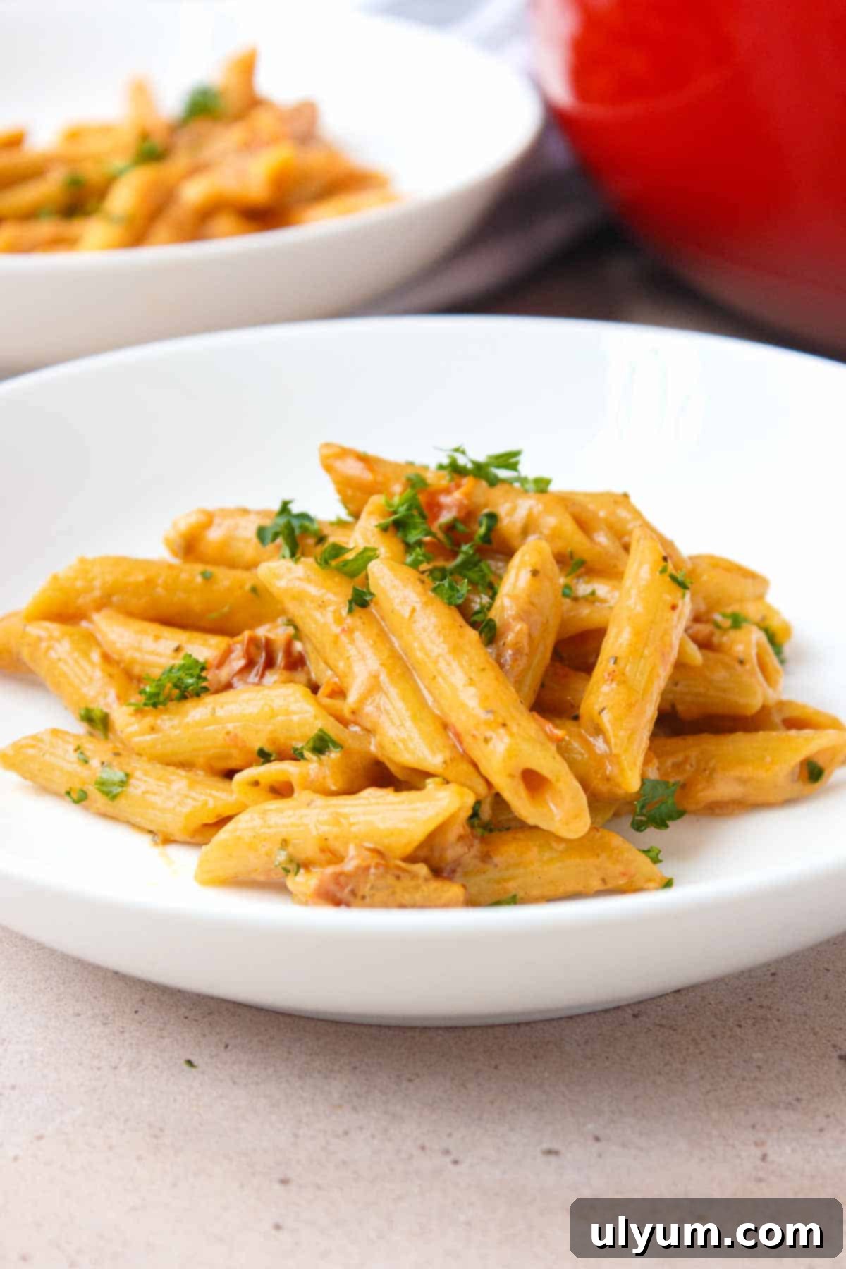 Effortless One-Pot Sun-Dried Tomato Pasta 2 Delicious One Pot Sun-Dried Tomato Pasta, an easy and quick creamy pasta recipe for weeknights