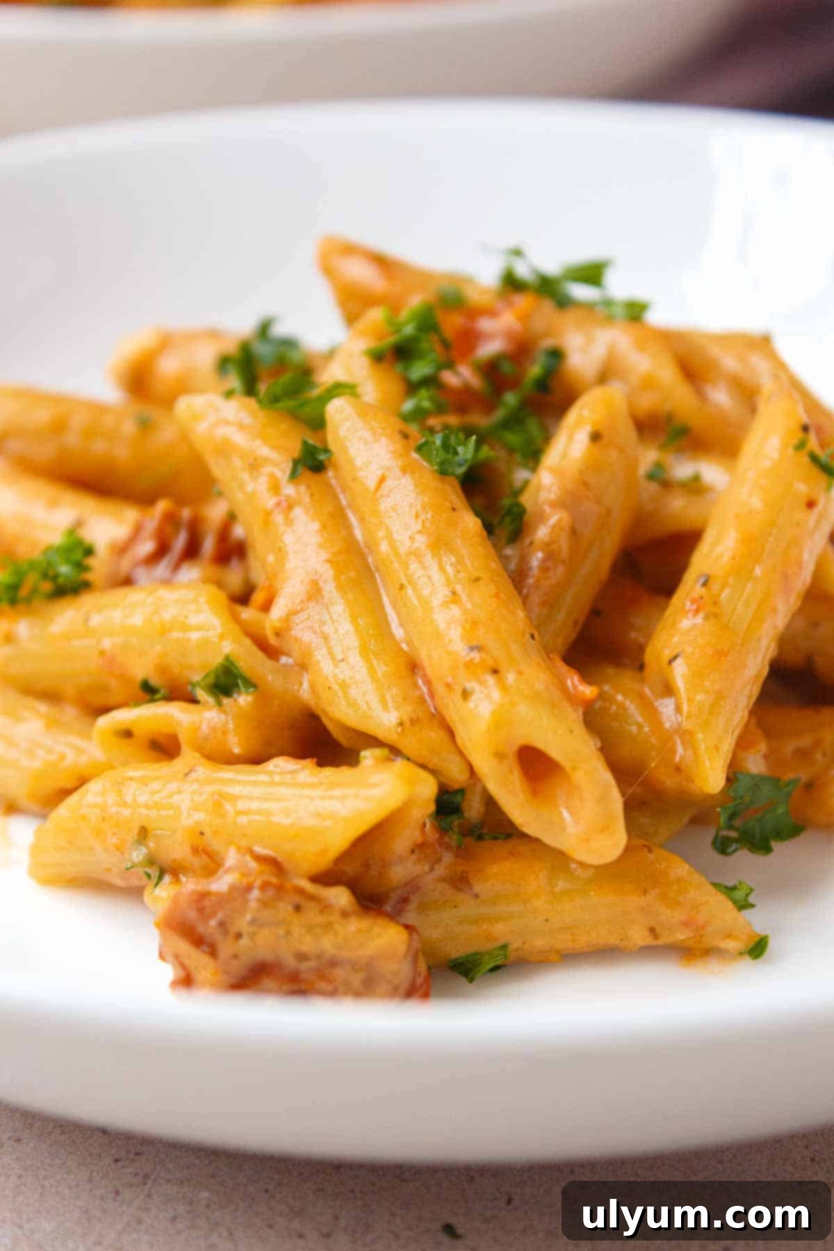 Effortless One-Pot Sun-Dried Tomato Pasta 11 A delicious bowl of One Pot Sun-Dried Tomato Pasta garnished with fresh herbs, ready to be eaten