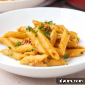 Effortless One-Pot Sun-Dried Tomato Pasta 12 One Pot Sun-Dried Tomato Pasta