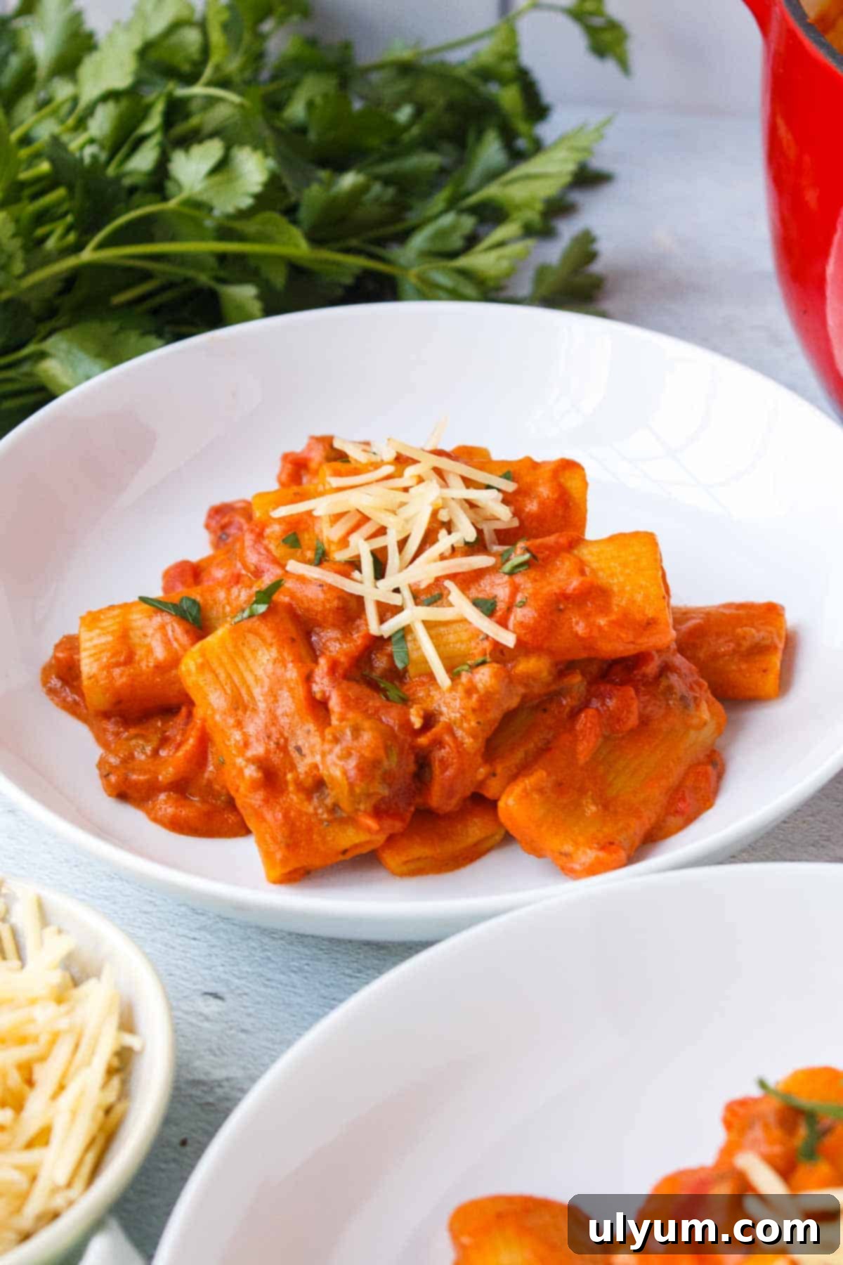 Creamy One-Pot Italian Sausage Pasta 2 Creamy One Pot Rigatoni - A delicious, easy-to-make pasta dish with Italian sausage.