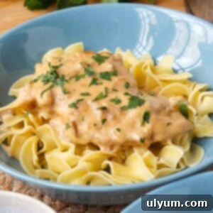 4-Ingredient Crockpot Chicken served generously over a bed of egg noodles, garnished with fresh parsley