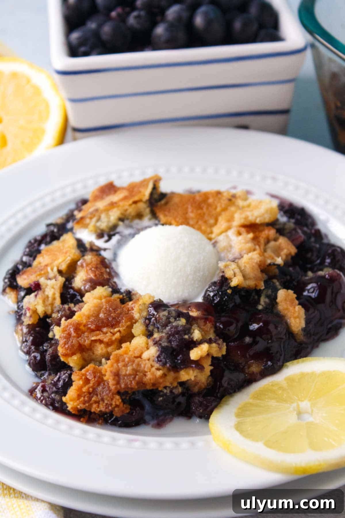 5-Ingredient Blueberry Dump Cake