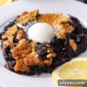 5-Ingredient Blueberry Dump Cake