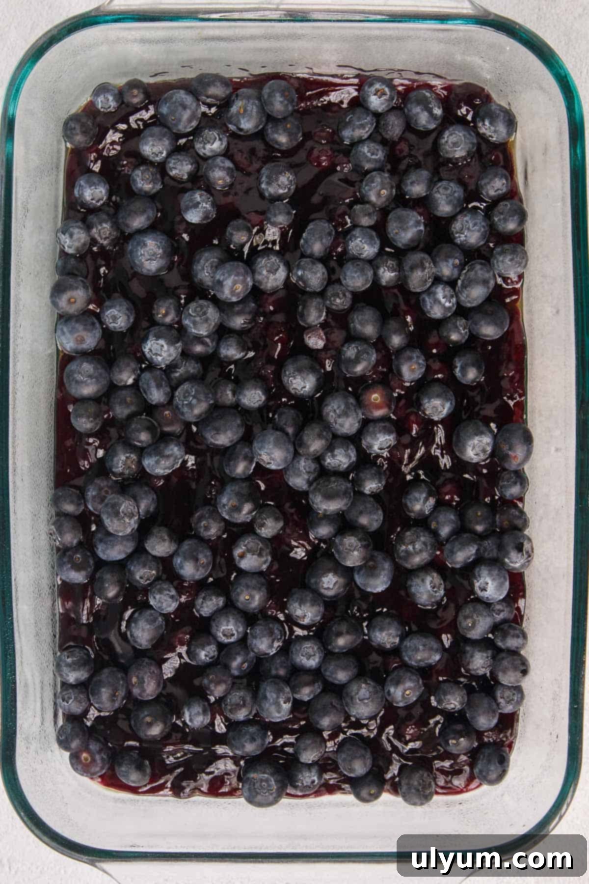 Fresh blueberries spread evenly over pie filling