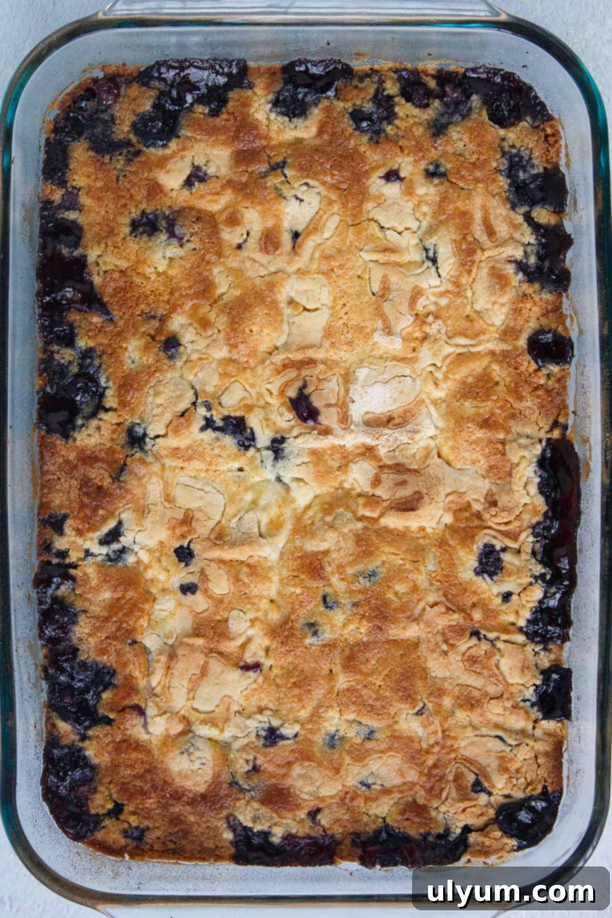 Blueberry Dump Cake baked until golden brown