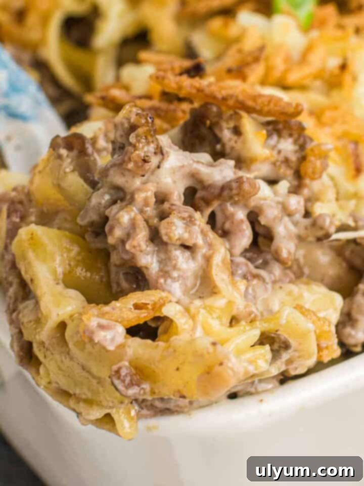 15 Hearty Homestyle Hamburger Casserole Recipes 15 French Onion Beef Casserole with egg noodles and Swiss cheese