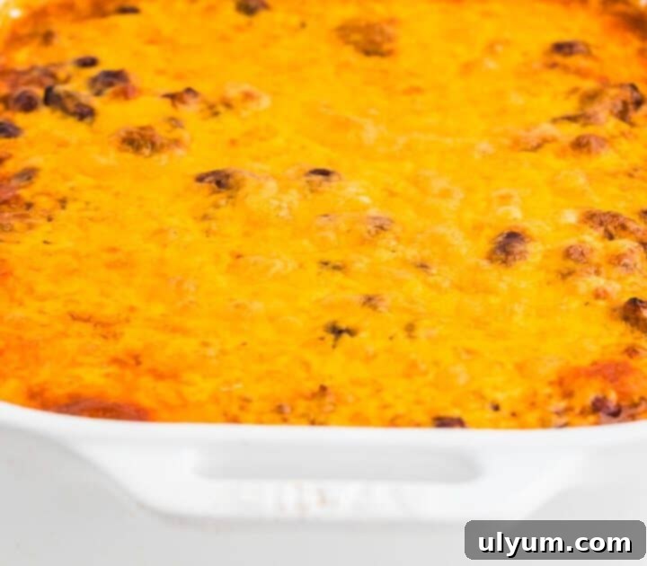 15 Hearty Homestyle Hamburger Casserole Recipes 18 Cheesy Beef and Bean Casserole, a quick and satisfying dinner