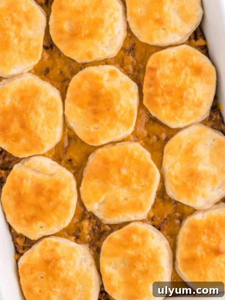 15 Hearty Homestyle Hamburger Casserole Recipes 7 Cheeseburger Casserole topped with biscuits