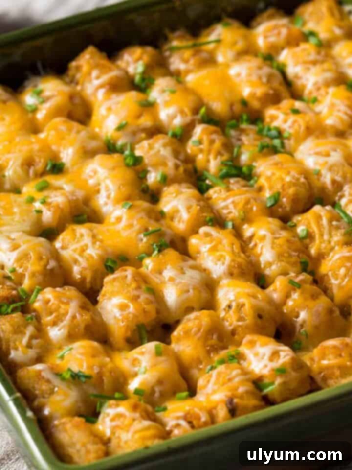 15 Hearty Homestyle Hamburger Casserole Recipes 8 Easy Tater Tot Casserole with ground beef and cheesy tater tots