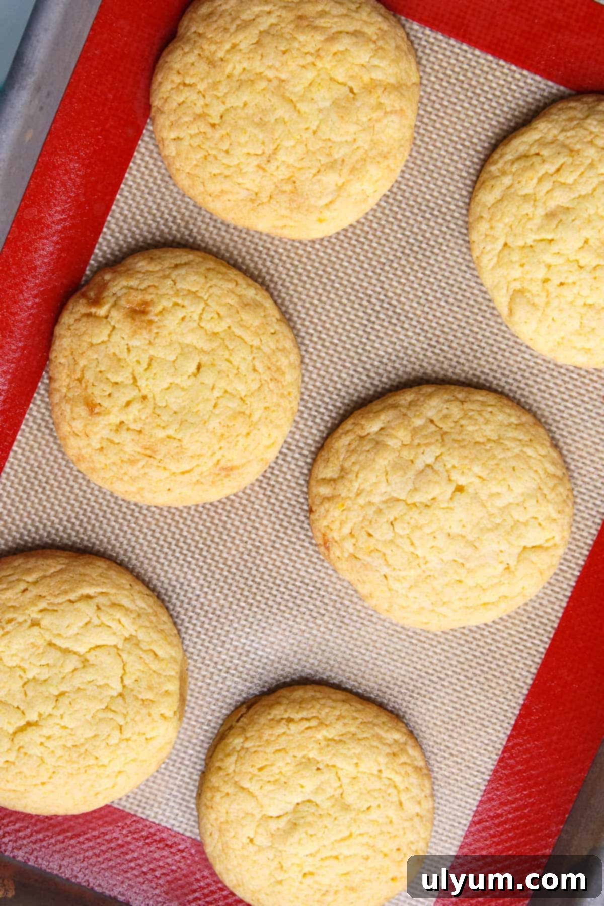 Baked lemon cookies
