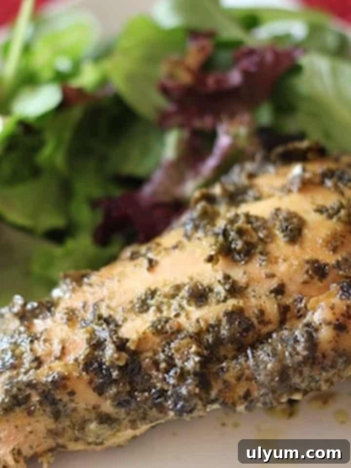 20 Genius 4 Ingredient Chicken Meals 12 Slow Cooker Pesto Ranch Chicken served with pasta