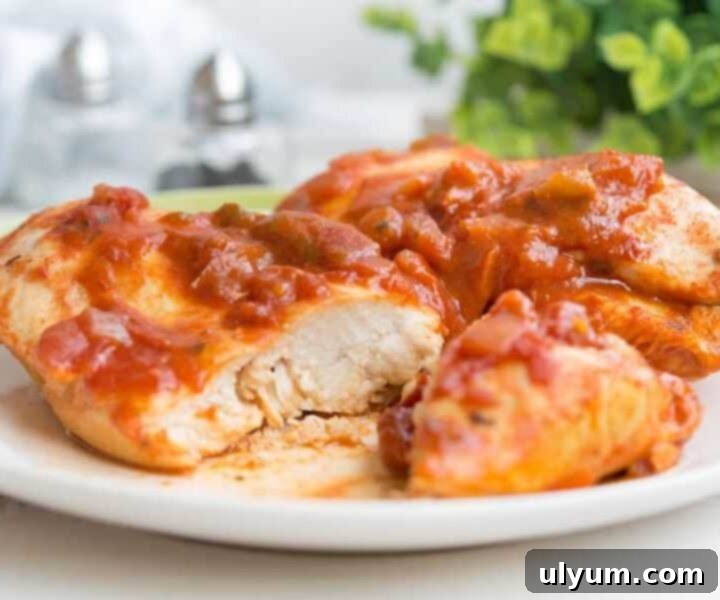 20 Genius 4 Ingredient Chicken Meals 17 Instant Pot Salsa Chicken with cilantro