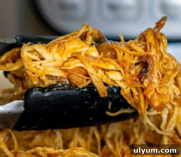 20 Genius 4 Ingredient Chicken Meals 18 Instant Pot BBQ Pulled Chicken sandwich
