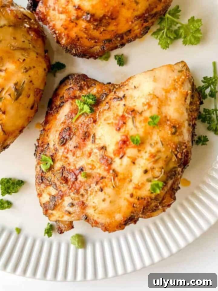 20 Genius 4 Ingredient Chicken Meals 19 Air Fryer Boneless Skinless Chicken Thighs seasoned with herbs