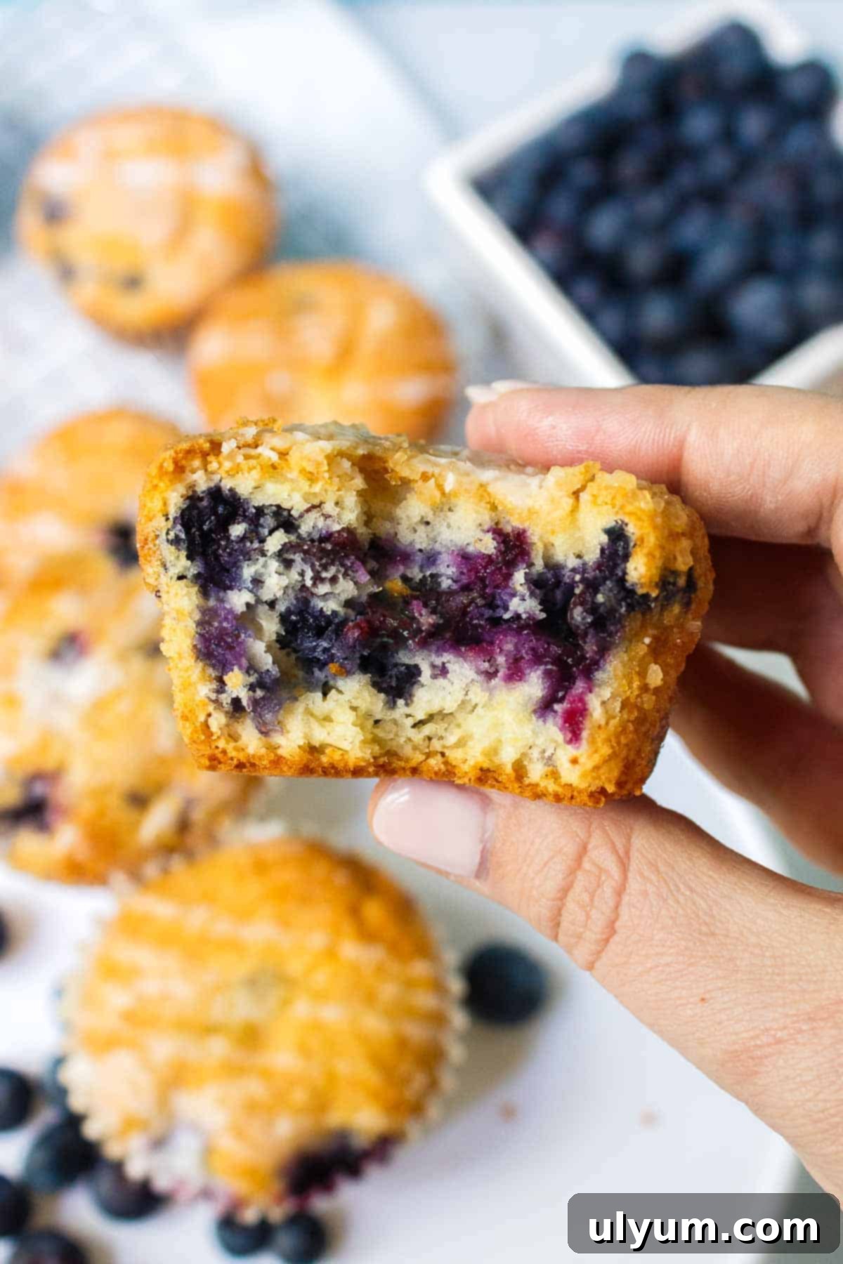 A fresh cake mix blueberry muffin with a bite taken out of it, revealing the moist interior and blueberries.