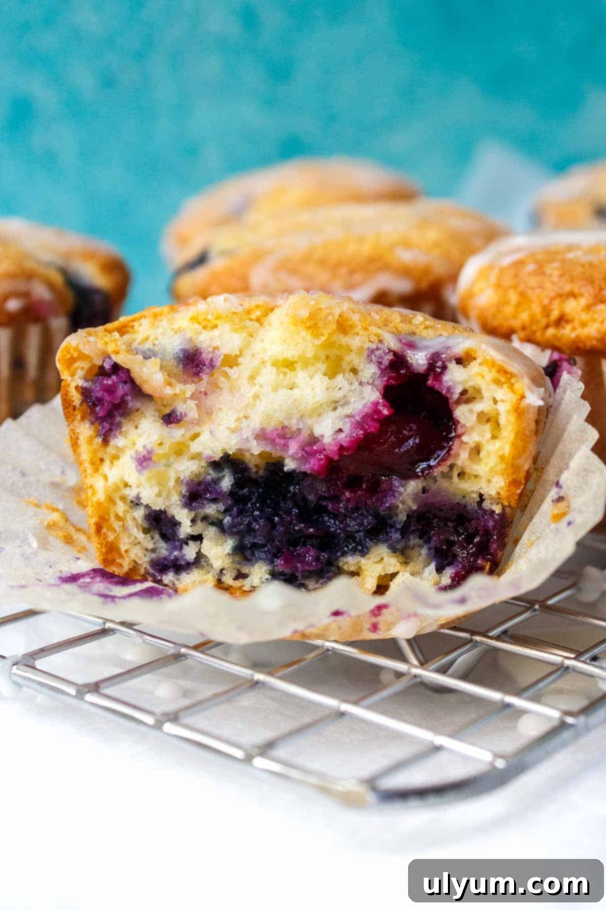 A close-up of the moist interior of a cake mix blueberry muffin, showcasing the perfectly baked blueberries.