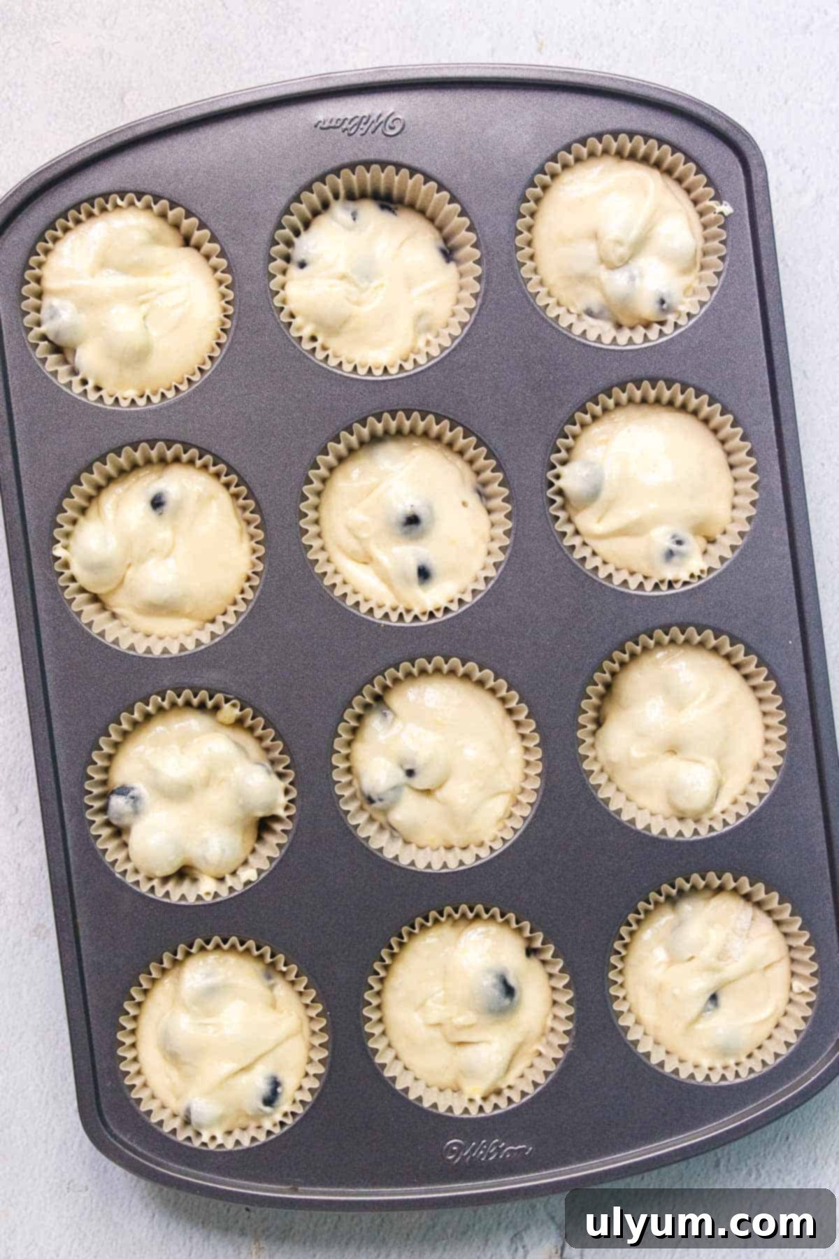 Cake mix blueberry muffin batter evenly distributed into lined muffin tins, leaving a small space at the top of each cup.
