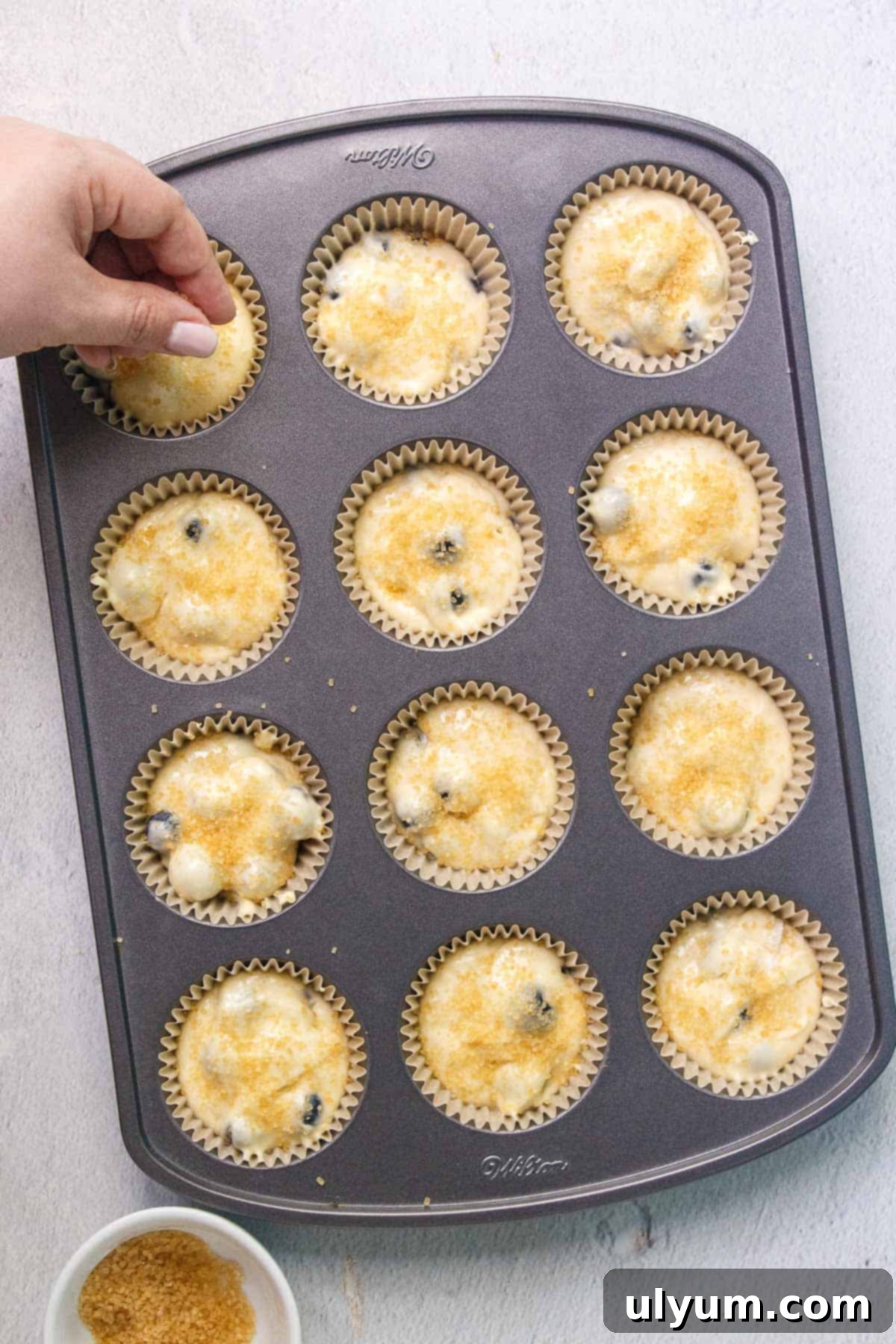 Sprinkling turbinado sugar over the tops of filled muffin cups in a muffin tin before baking.