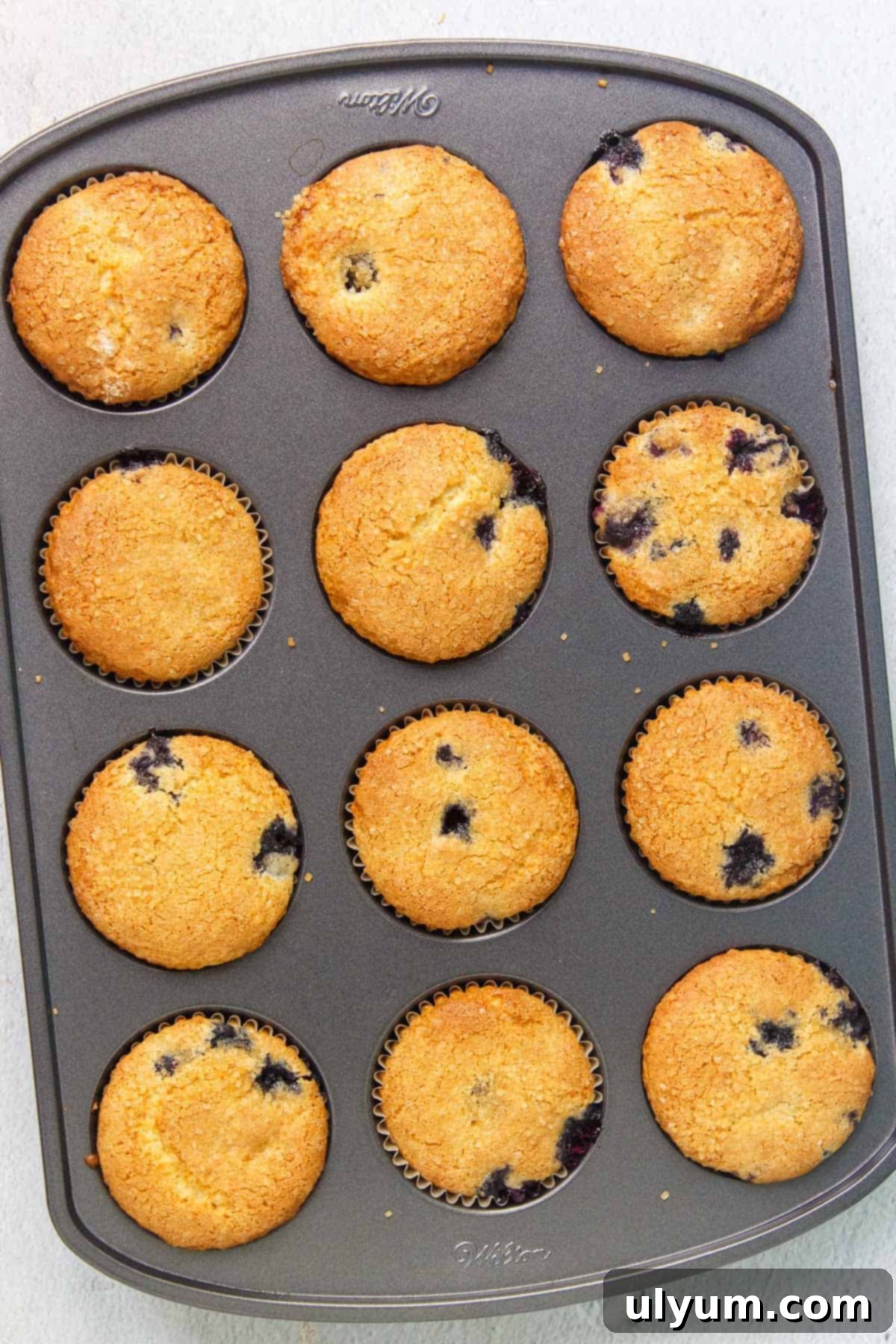 Freshly baked golden brown cake mix blueberry muffins in a muffin tin, cooling slightly.