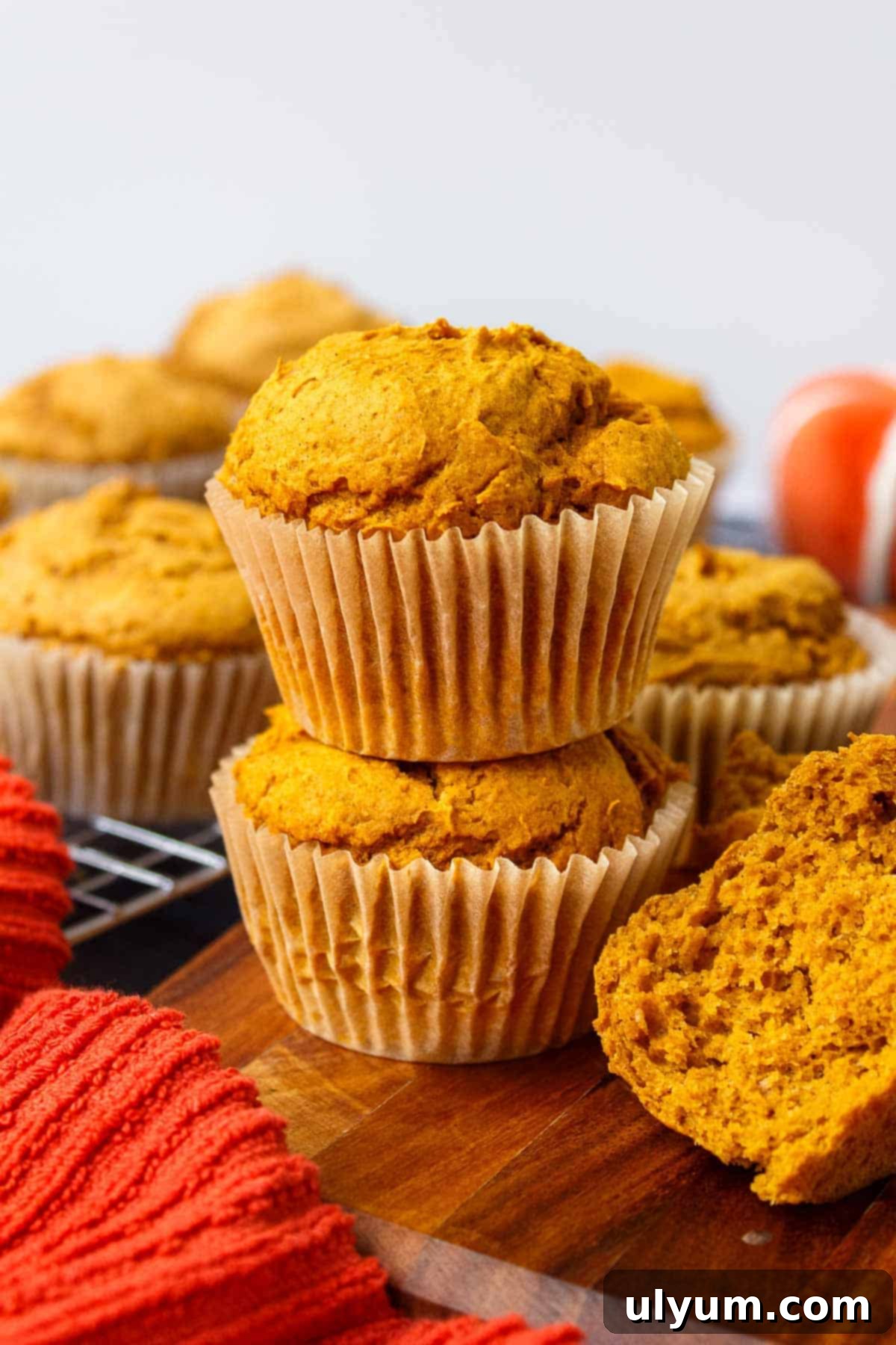 2-Ingredient Pumpkin Muffins