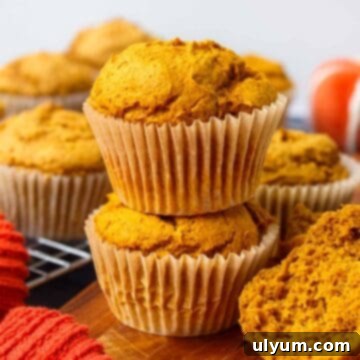2-Ingredient Pumpkin Muffins