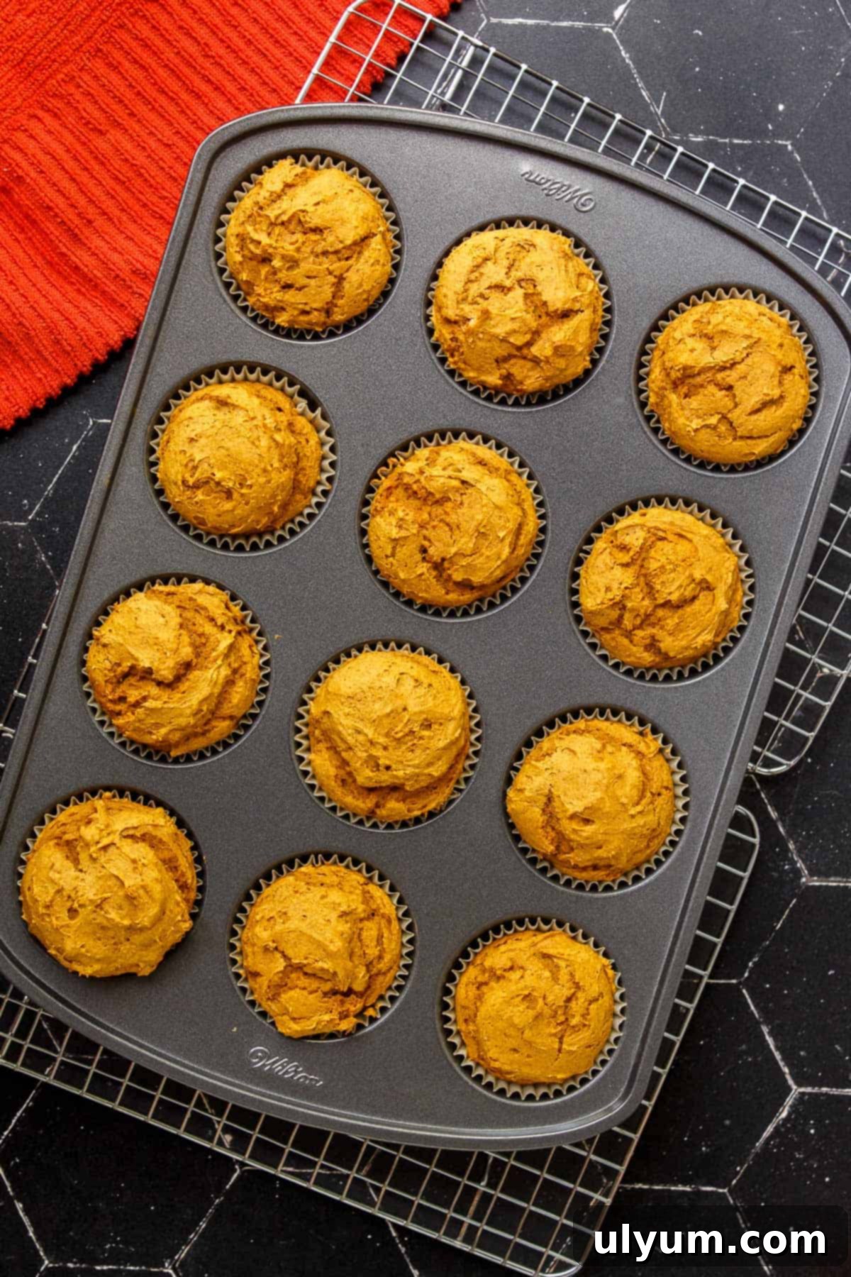 Baked 2-Ingredient Pumpkin Muffins cooling on a wire rack