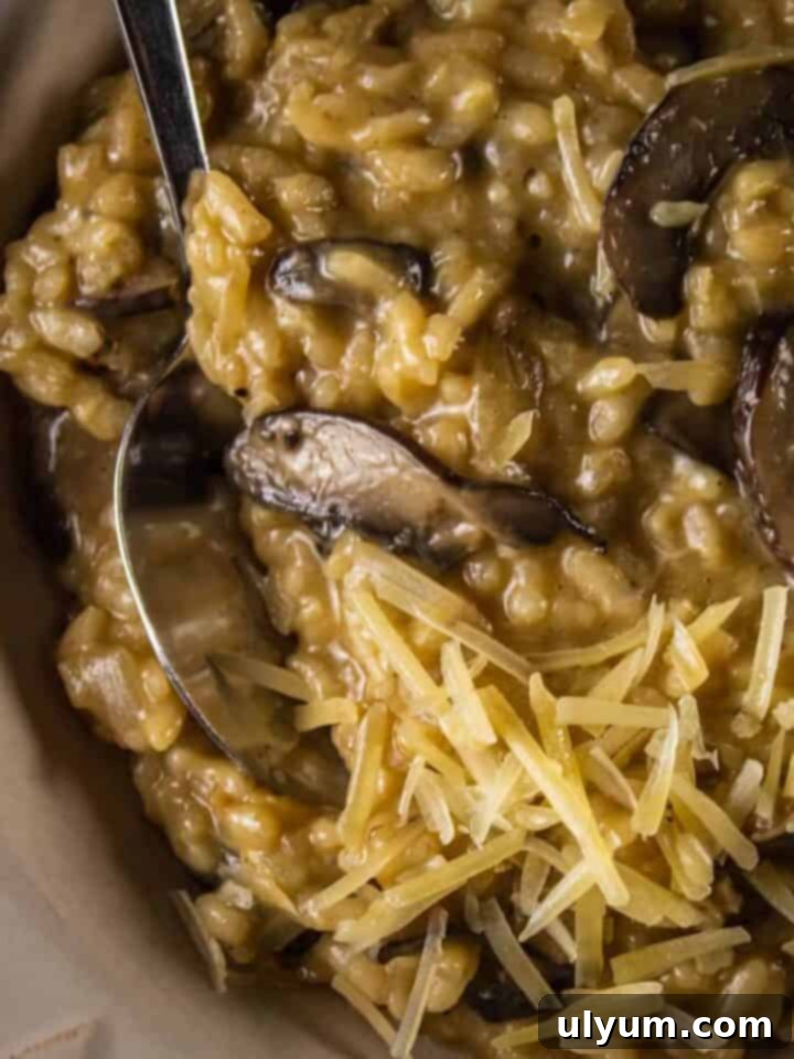 Creamy Mushroom Risotto