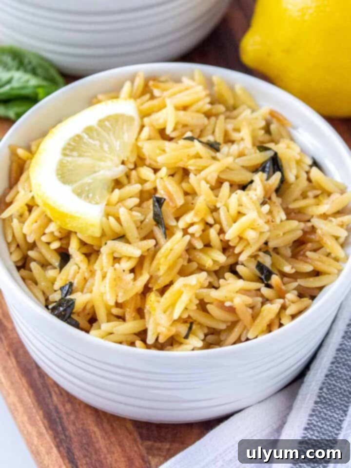 Ramekin filled with lemon parmesan orzo topped with a half lemon slice. There is fresh basil and lemon in the background.
