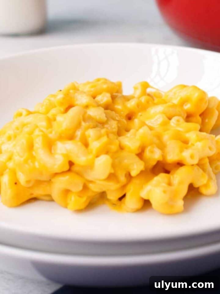 4-Ingredient Mac and Cheese