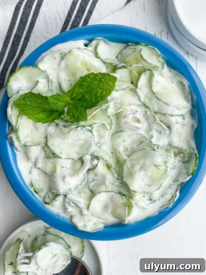 Cucumber Tzatziki Salad