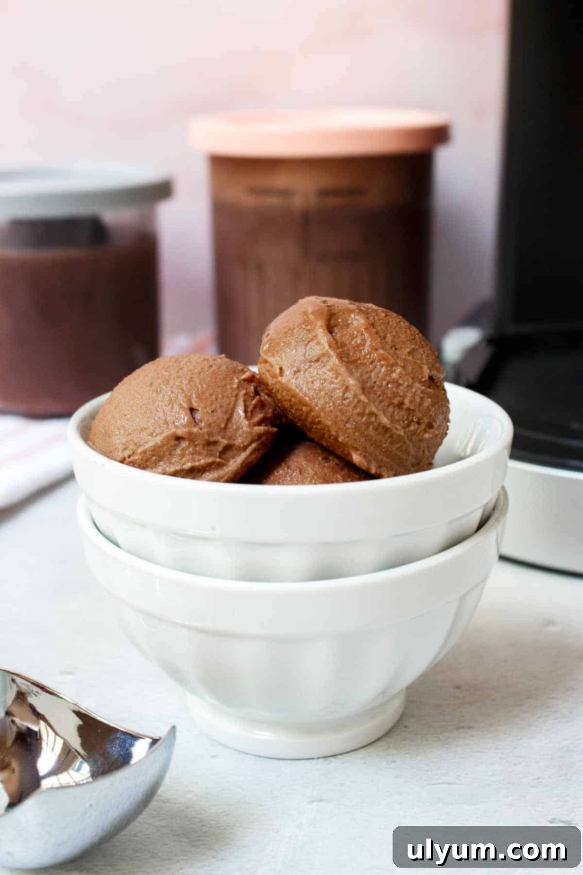 Scoops of Ninja Creami Chocolate Protein Ice Cream in a small bowl, garnished with chocolate shavings