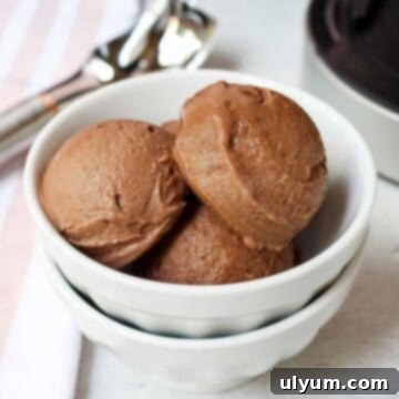 Ninja Creami Chocolate Protein Ice Cream