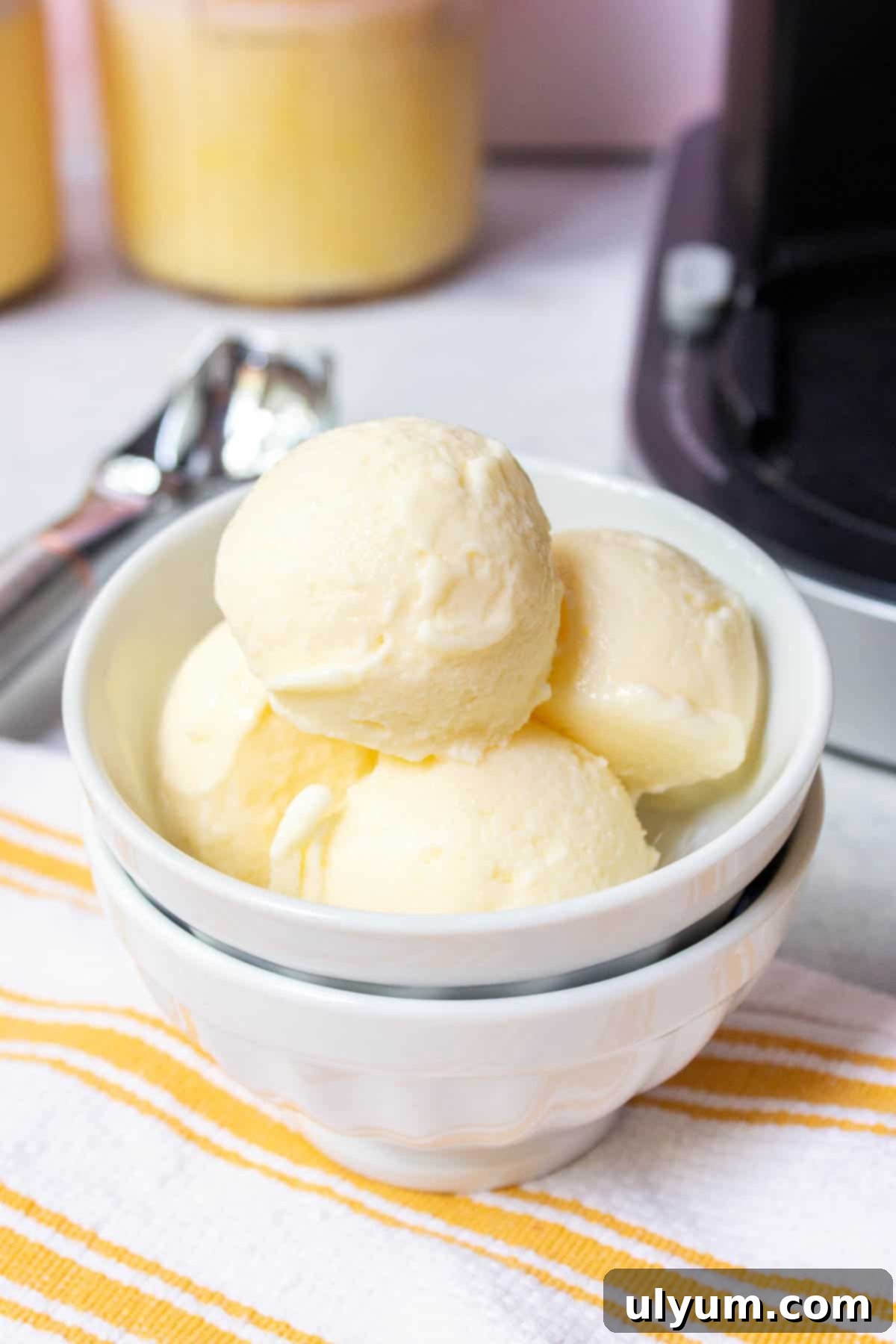 Ninja Creami Vanilla Protein Ice Cream - A creamy, delicious, high-protein dessert.