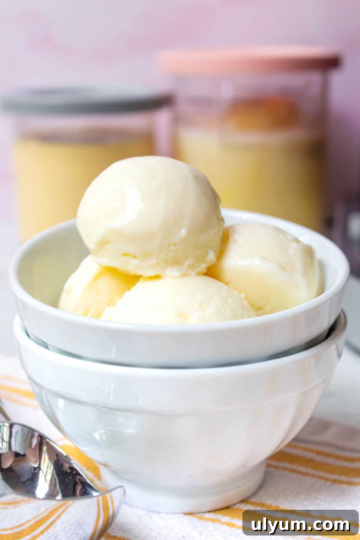 Ninja Creami Vanilla Protein Ice Cream scooped into a bowl, garnished with a sprig of mint.