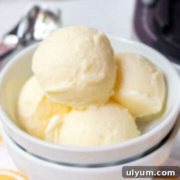 Ninja Creami Vanilla Protein Ice Cream scooped into a bowl.
