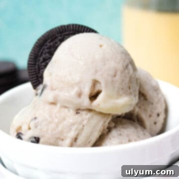 Ninja Creami Oreo Protein Ice Cream in a pint, ready to eat with a spoon