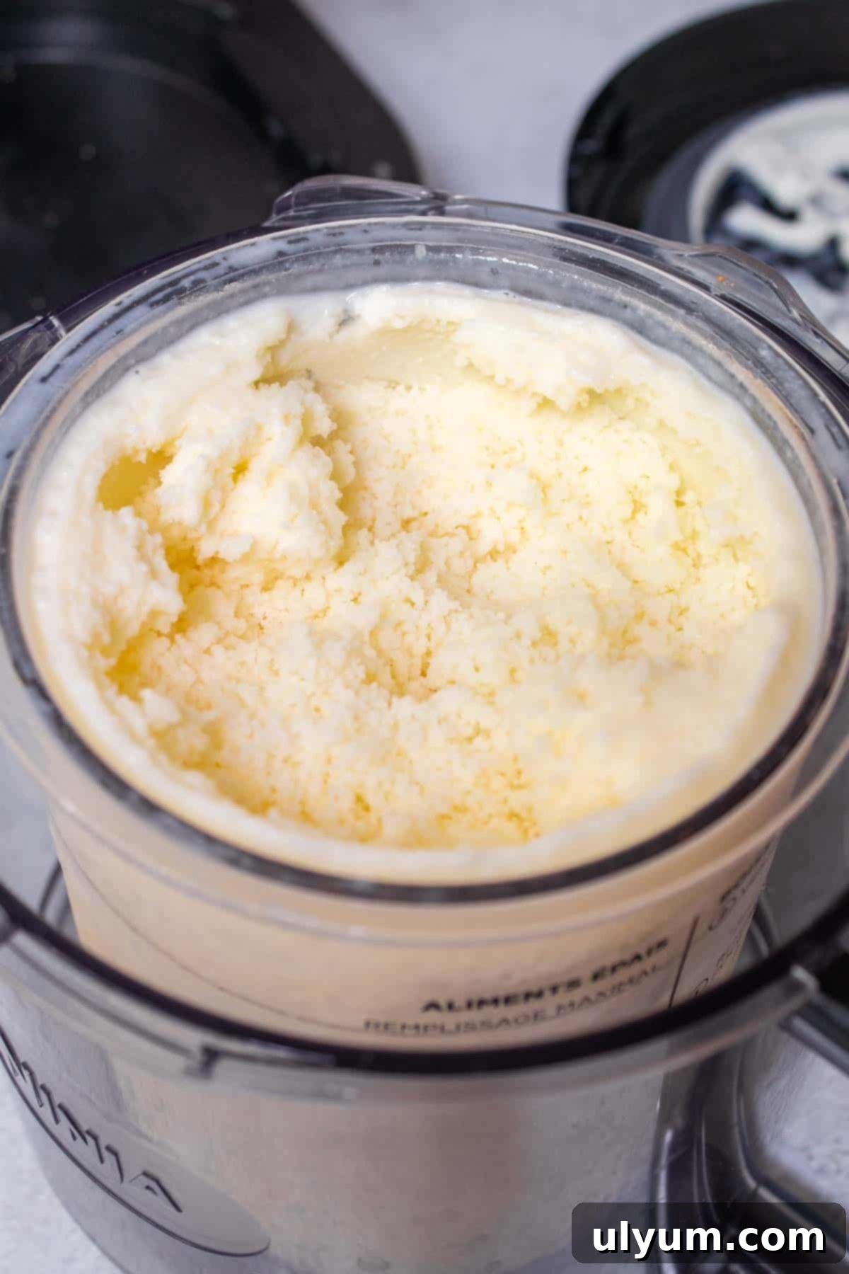 Ninja Creami vanilla protein ice cream looking crumbly and powdery after the first spin