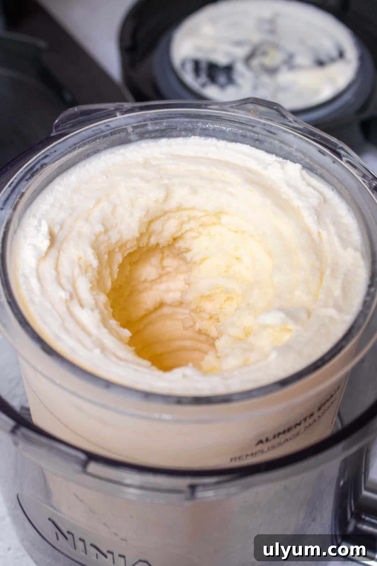 Vanilla protein ice cream processed to smooth consistency in the pint, ready for mix-ins