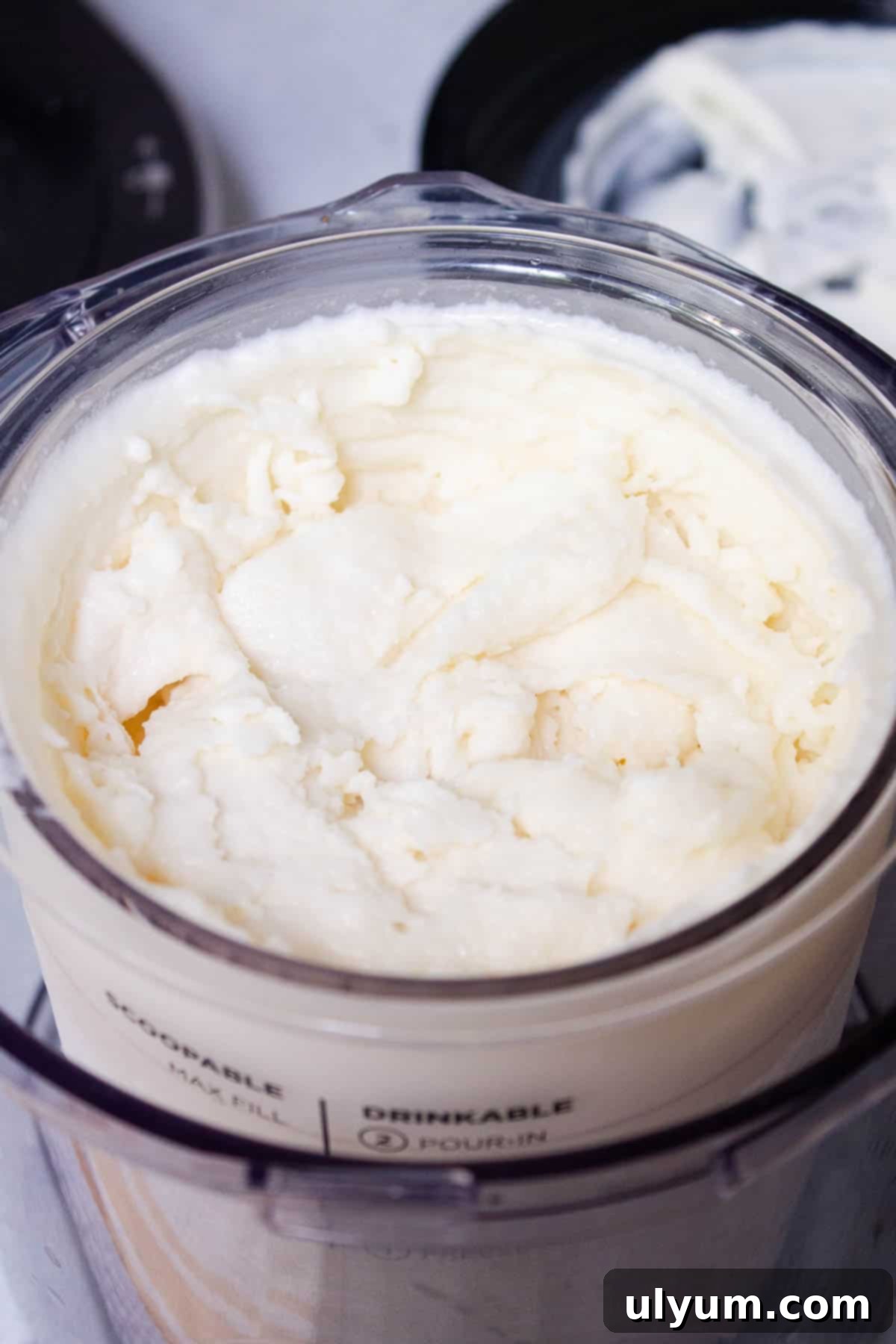 Vanilla ice cream has been processed in the Ninja Creami and the texture looks creamy