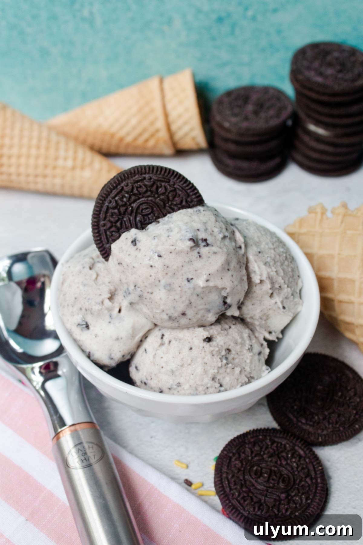 Ninja Creami Cookies and Cream Ice Cream