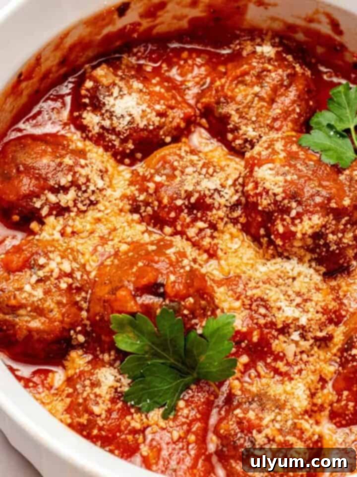 Effortless Frozen Meatball Meals 17 Ways 14 Air Fryer Frozen Meatballs in Marinara sauce, ready to be served.