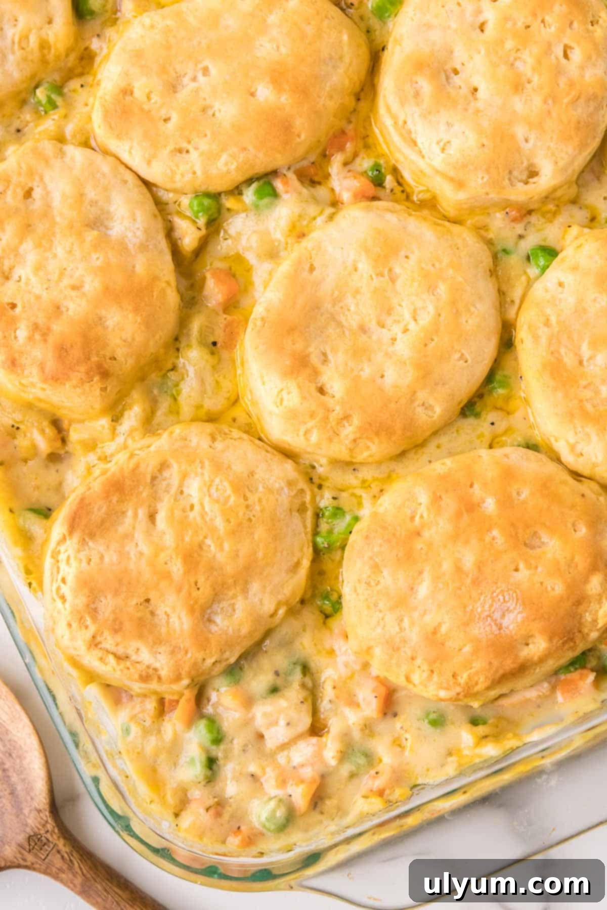 Easy chicken pot pie with biscuits, featuring a golden crust and creamy filling