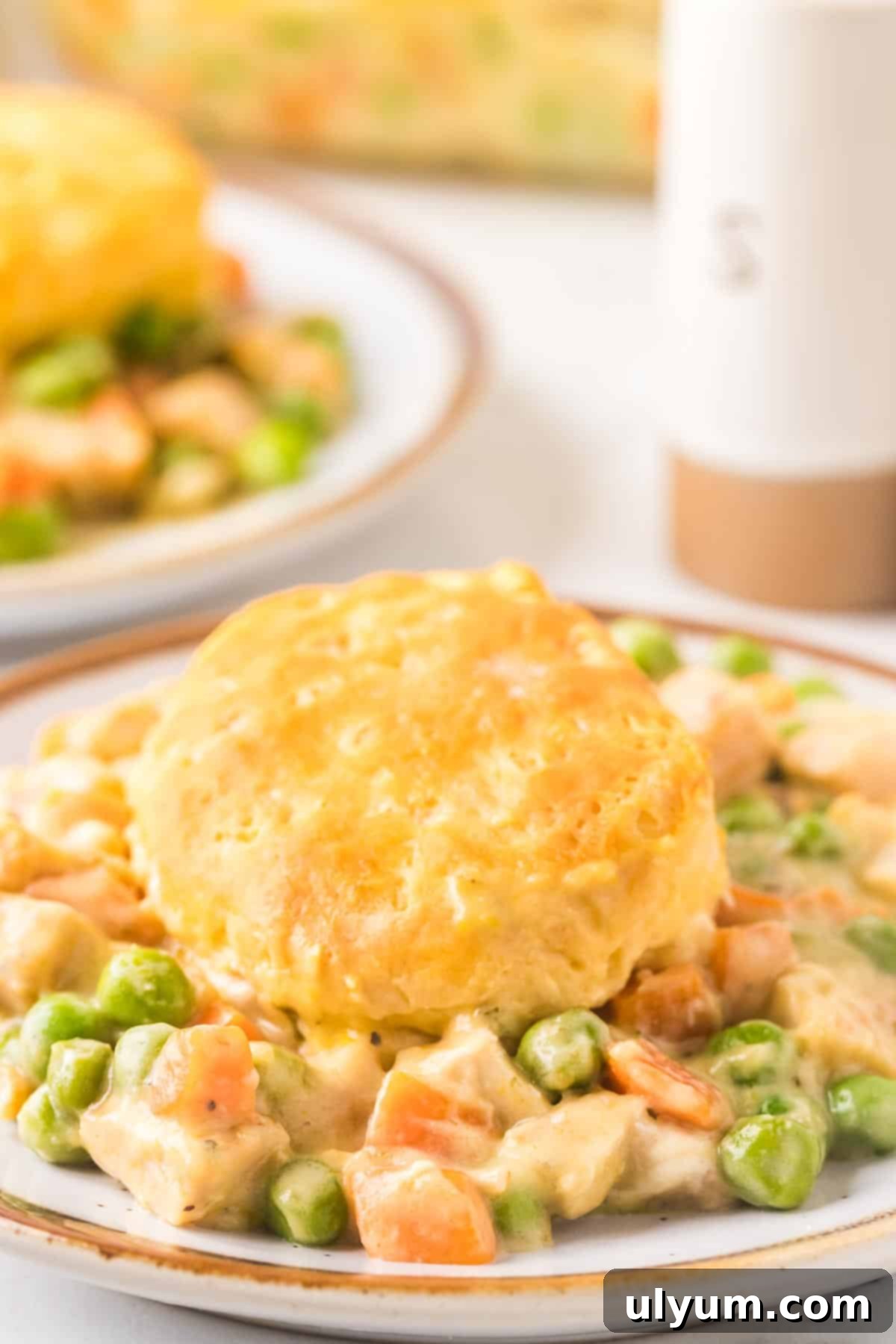 Dinner plate of chicken pot pie casserole with a golden biscuit on top, ready to eat