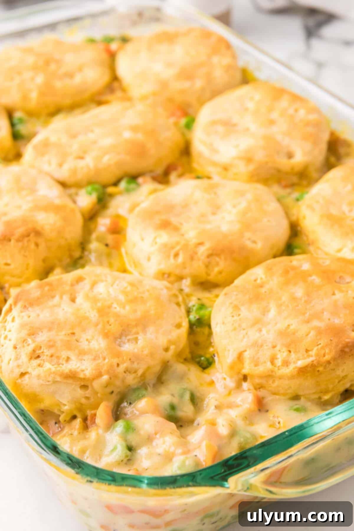 Chicken pot pie casserole with biscuits cooling on a wire rack