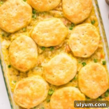 Easy chicken pot pie casserole with biscuits, a perfect family meal