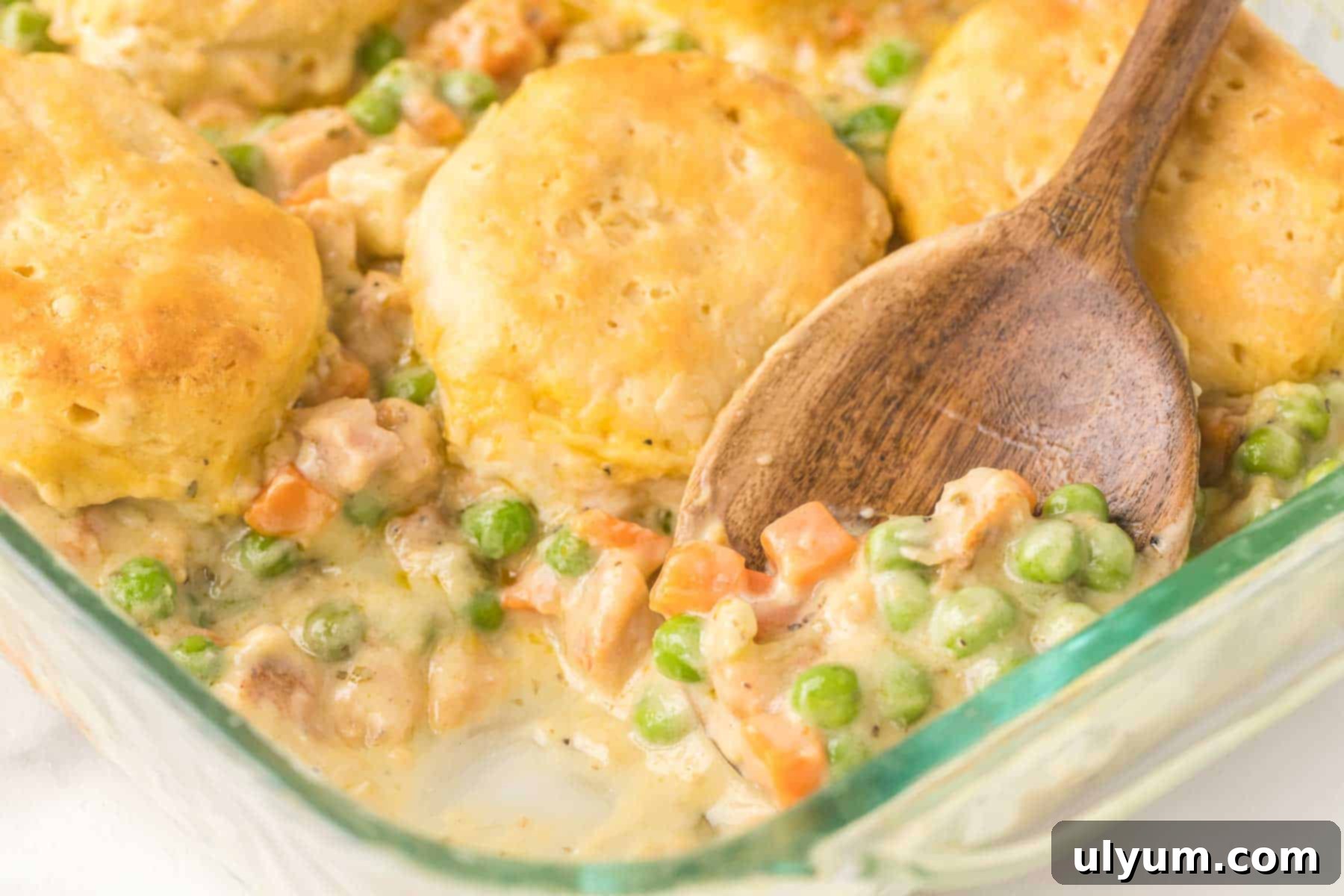 Easy chicken pot pie casserole with biscuits, served with a large spoon, showcasing the rich filling