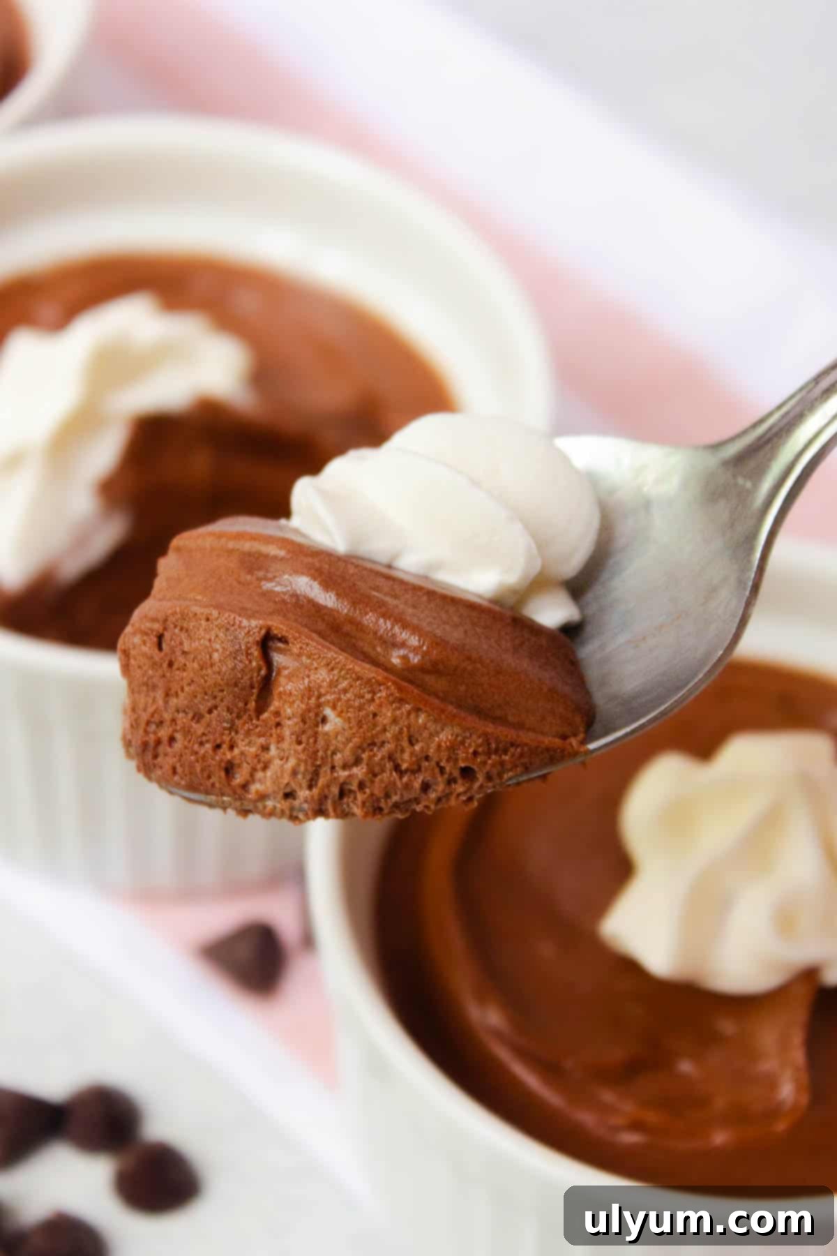 A spoonful of fluffy 2-Ingredient Chocolate Mousse showcasing its smooth and airy texture