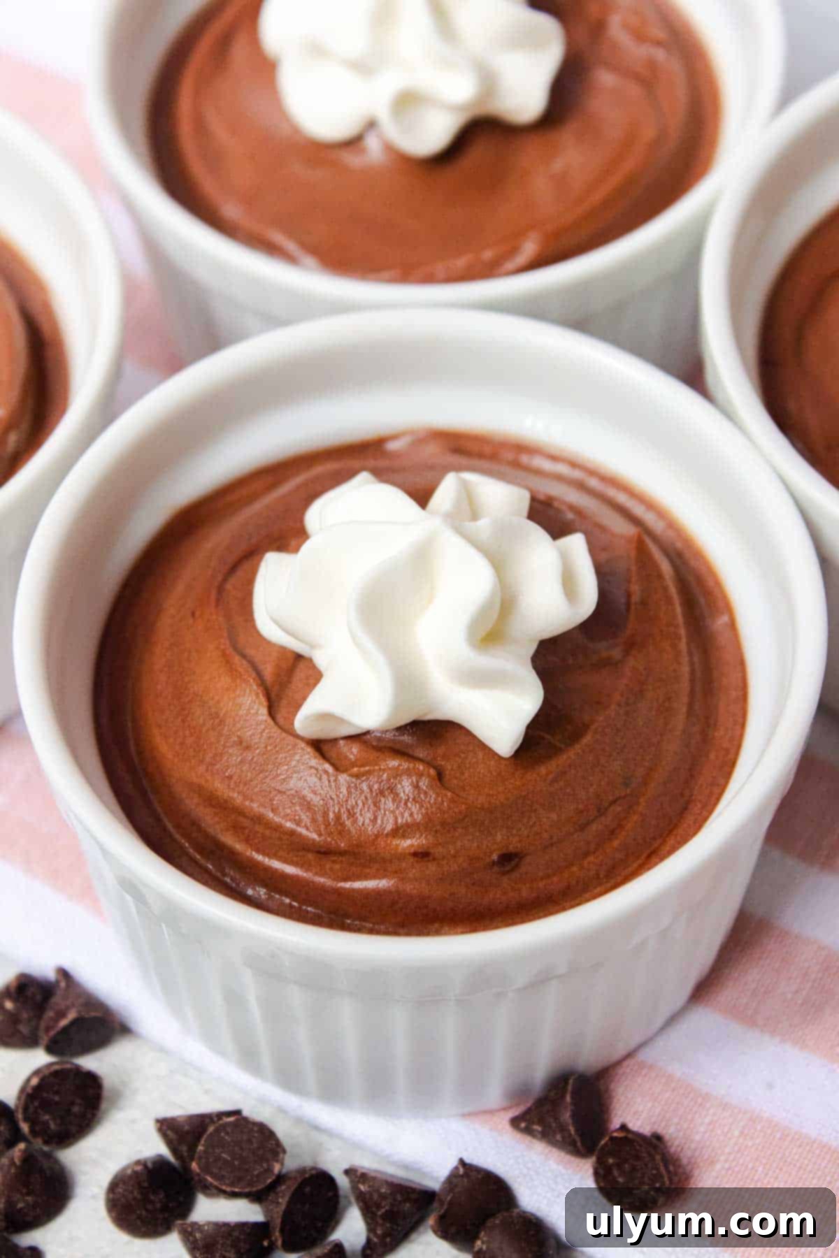 A perfectly chilled and garnished 2-Ingredient Chocolate Mousse, ready to be enjoyed
