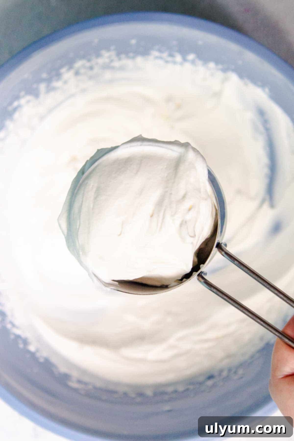 A half cup of freshly whipped cream is reserved for topping the chocolate mousse