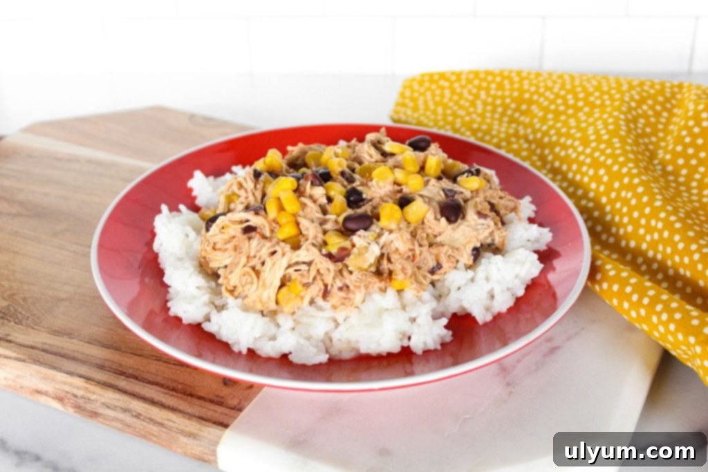 Creamy Slow Cooker Tex-Mex Fiesta Chicken served over rice, garnished with fresh cilantro.